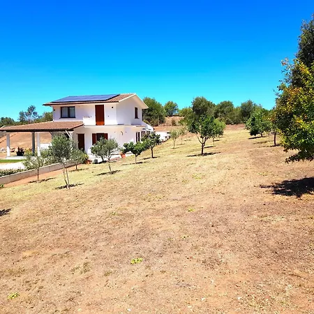 Nova 3* ゴンネーザ